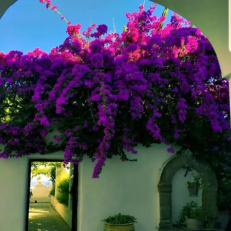 Casa Colette Anacapri Anacapri (Isola di Capri)